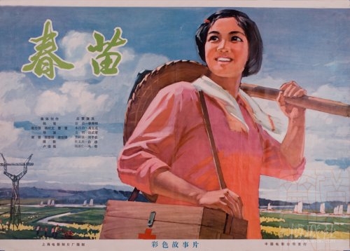 哪里能办土耳其护照模板